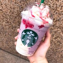 (E-voucher 12253) Pick-up voucher Voucher Voucher Group Purchase Voucher {Wont Do Not Mess Up} 3523