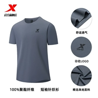 (Дышащая версия) Haiyan Grey-Logo Model 2