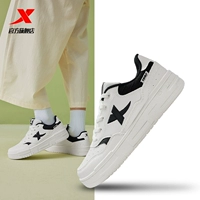 Модели Санбай/Черно-Жины