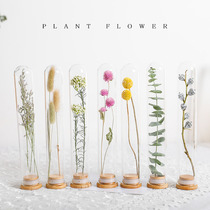 Glass test tube Dried flower bouquet Immortalized flower Plant specimen Wishing vase Decorative ornament Send birthday New Year gift