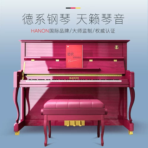 Импортное профессиональное элитное пианино для взрослых, Германия