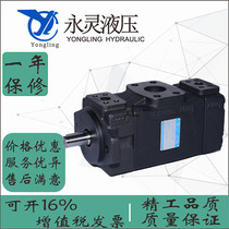 Yongling duplex vane pump PV2R11-31 28 25 25 19 19 17 14 14 10 10 8 6-F1-F-FR