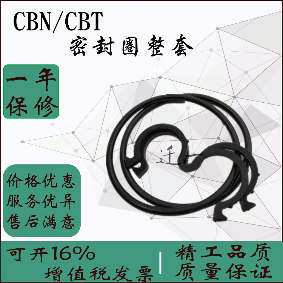 CBN Oil Pump Repair Bag Gear Pump Sealing Ring Press Head Sealing Ring Gear Pump Oil Seal O-ring 3 Glyph