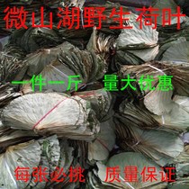 Beggars Chicken Lotus Leaf Authentic Lotus Leaf Whole Lotus Leaf Special for Beggar Chicken Lotus Leaf Whole Leaf Only for Beggars