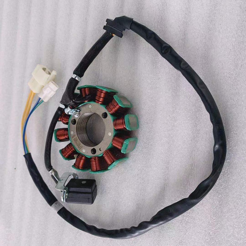 Lifan motorcycle KPT200 LF200-10L original modified bumper magneto coil regulator