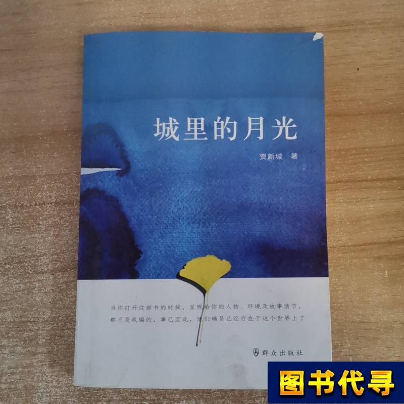 Moonlight in the City by Jia Xincheng