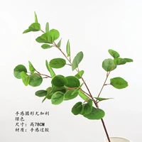 Круг чувствуй Эдали