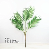 Пальмовая пачка