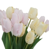 Ароматизированный увлажняющий реалистичный свежий реквизит для фотографии