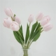 8 Lafite Tulip-Pink