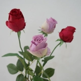 Ультрареалистичный ощущение увлажняющей паларии роза осенняя цветовая симуляция свадебный цветочный материал мягкая мебель Фотография реквизит