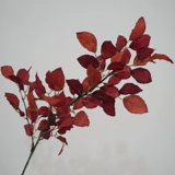 Рассказывание маслом ретро -симуляция шелковая ткань