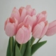 Lafite Tulip-Light Pink Branches
