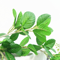  Nordic simulation high-quality green mint leaf flower arrangement leaves living room ornaments decoration restaurant photography props fake flowers