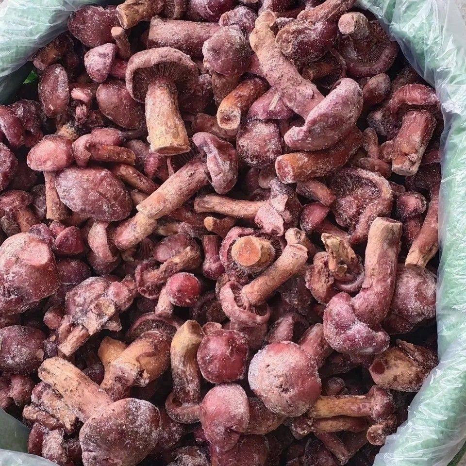 Northeastern Quick-Frozen Pine Mushroom, Fresh Frozen Meat Mushroom, Frozen Red Mushroom, Hotel Direct Supply, Premium Diced Wild Mushrooms