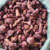 Northeastern Quick-Frozen Pine Mushroom, Fresh Frozen Meat Mushroom, Frozen Red Mushroom, Hotel Direct Supply, Premium Diced Wild Mushrooms
