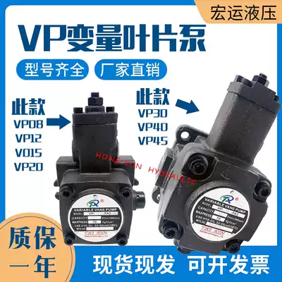 Hydraulic oil pump VP-20-FA3 Variable vane pump 15 indenter VP-30-FA 40 Hydraulic station Hydraulic pump assembly