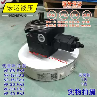 Hydraulic oil pump Gear pump VP15 Hydraulic oil pump assembly VP30 Hydraulic system Hydraulic workstation Hydraulic oil pump