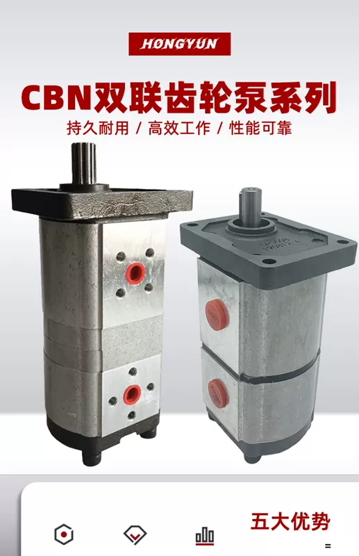 Cụm bơm dầu thủy lực đôi bơm CBN/T-F310/306 phụ kiện bơm dầu cao áp nhỏ hoàn chỉnh đầu bơm bơm piston thủy lực bơm thủy lực áp suất cao