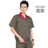 05 серого зеленого оранжевого воротника