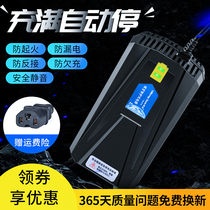 Electric car battery charger 48V12AH20AH60V72V30A New Day Emma Lima Chaowei Tram General