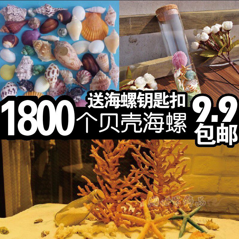 Natural conch shell Coral fish tank Aquarium floor wall sticker Perforated DIY drift bottle Hermit crab shell large