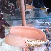 Natural snail conch shell No flower white scoop snail Home decoration fish tank decoration landscaping crafts Oversized potted plants