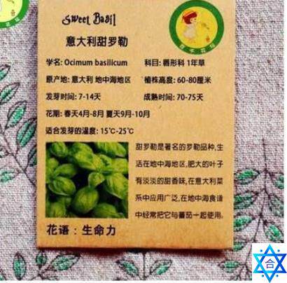 Sweet basil Seeds Bonsai Flower for Indoor Rooms Seed Basil Seeds