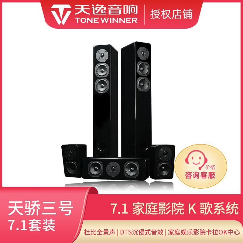 Winner Tianyi Tianjiao No. 3 Home Home Theater Panorama Sound 7 1 Center Surround Speaker Movie K Set