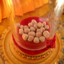 Sakyamuni Buddhas King Kong GUs strong son and sent a red flower for the Pagoda