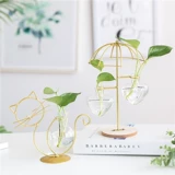 Nordic ins Wind Golden Fresh Glass Flow