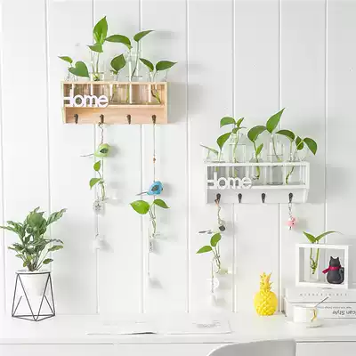 Creative hydroponic glass vase hanging transparent flower arrangement plant Golden GE wall hanging hipster wall adhesive hook decoration