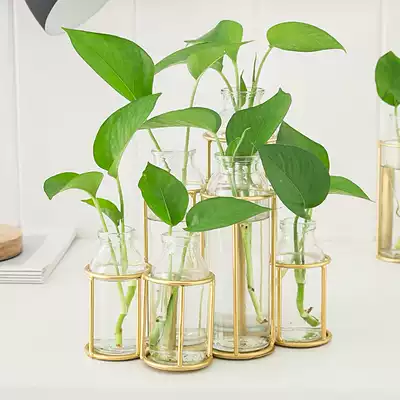 Vase ornament Creative hipster Large Living Room Desktop Golden Gregory Flower European Flower Glass Hydroponic Plant Container