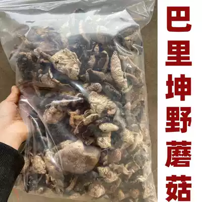 Xinjiang specialty authentic Barkun wild mushroom soup rice large plate chicken stew soup mushroom dry taste fresh gift box 500g