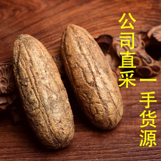 천 눈 보디 씨앗 천 눈 바디 녹색 과일 ginkgo red fut druit hand-held 원래 과일 원료 선택