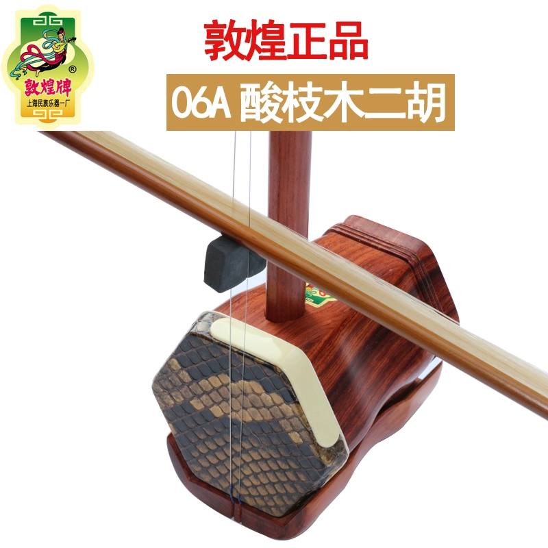 Đôn Hoàng Erhu 06A Rosewood Muzhen Lớp Chơi Erhu Nhạc cụ Nhà máy Nhạc cụ Quốc gia Thượng Hải - Nhạc cụ dân tộc