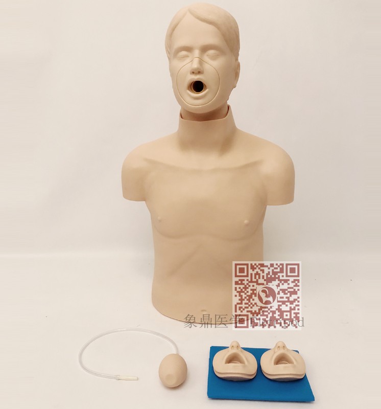 Eletripod 象鼎医学 高级成人气道梗塞及CPR模型 ET/CPR10145