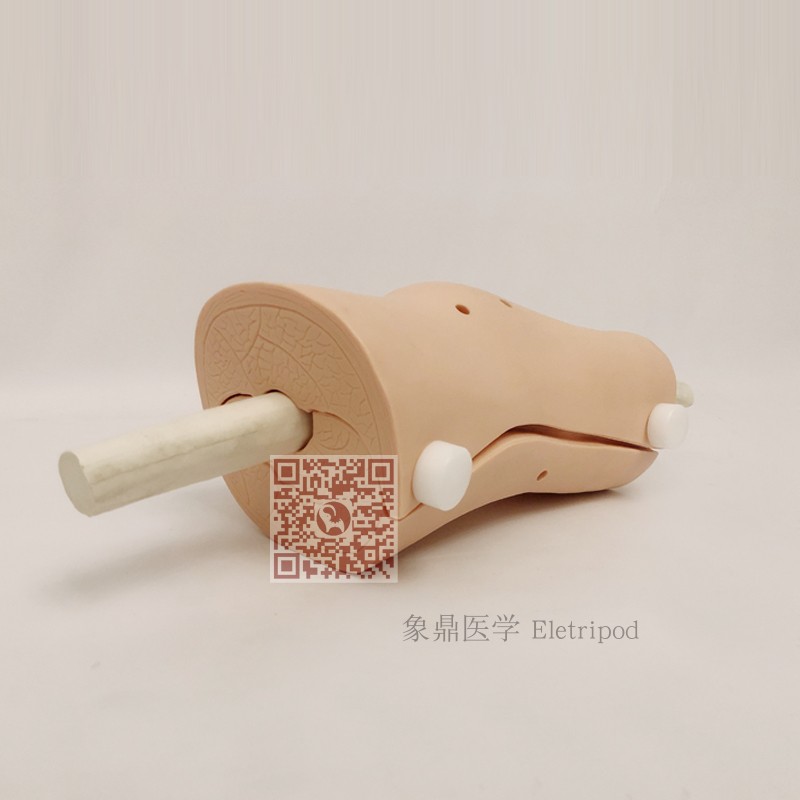 Eletripod 象鼎医学 膝关节镜检查模型 ET/L75