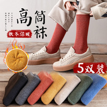 Thick Socks Children Winter Thickening Plus Suede Long Cylinder Socks Autumn Winter Pure Cotton High Cylinder Long Socks Black Warm Calf Socks Winter