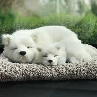 Большая вечеринка для собак и детская собака