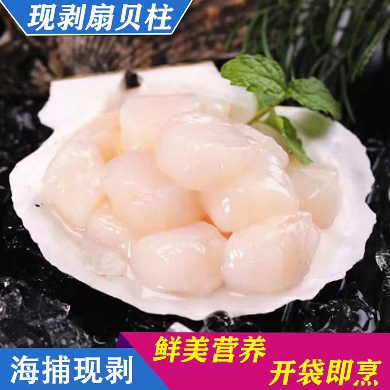 鲜活带子:澳洲大带子的烹饪秘籍,解锁海鲜新吃法!-扇贝柱-淘宝百科网