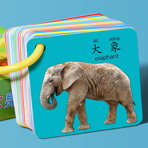 Animal Card Baby Image Card Literacy Card Toys for Children Criticized Baby Toys Premature Teaching Cognitive Card