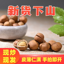 2023 Northeast Tieling Wild Original Small Hazelnuts Hand-Packed Hazelnuts Fried Open Thin-Skinned Mountain Hazelnut Nuts