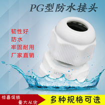 Cable fixing head waterproof connector PG 7 9 11 13 5 16 19 21 25 29 36 42 Glen Head