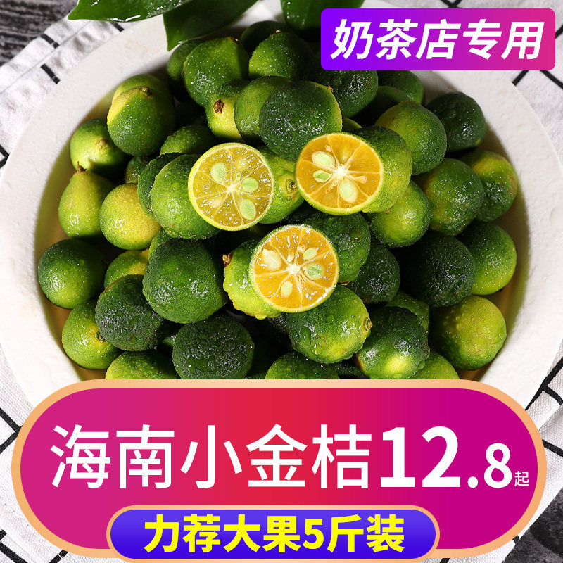Hainan small kumquat 5 catties fruit fresh seasonal whole box of oranges 1 lemon milk tea shop green kumquat freshly picked