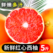 Fresh red hearts West grapefruit 5 catties for the season pregnant women Fruit grapefruit grapefruit yellow meat Sweet Western grapefruit Big 1
