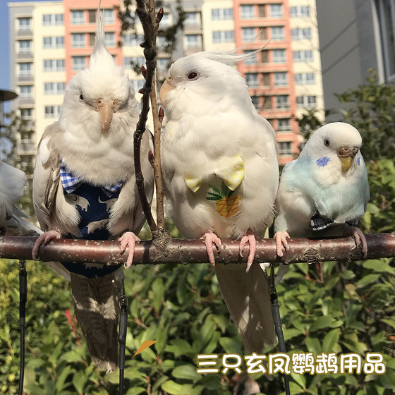 Seventh generation birds with diapers parrot clothes excrement bag flight suit clothes Xuanfeng three-dimensional diapers