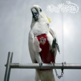 Седьмая генерационная моча не влажная, навоз, навоз, брюки, одежда, логотип службы полетов птиц, заказ