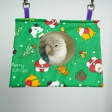 Птичье гнездо птичьего гнездо