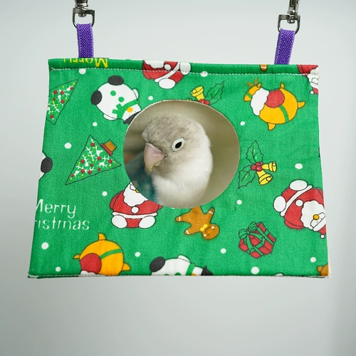 Птичье гнездо птичьего гнездо